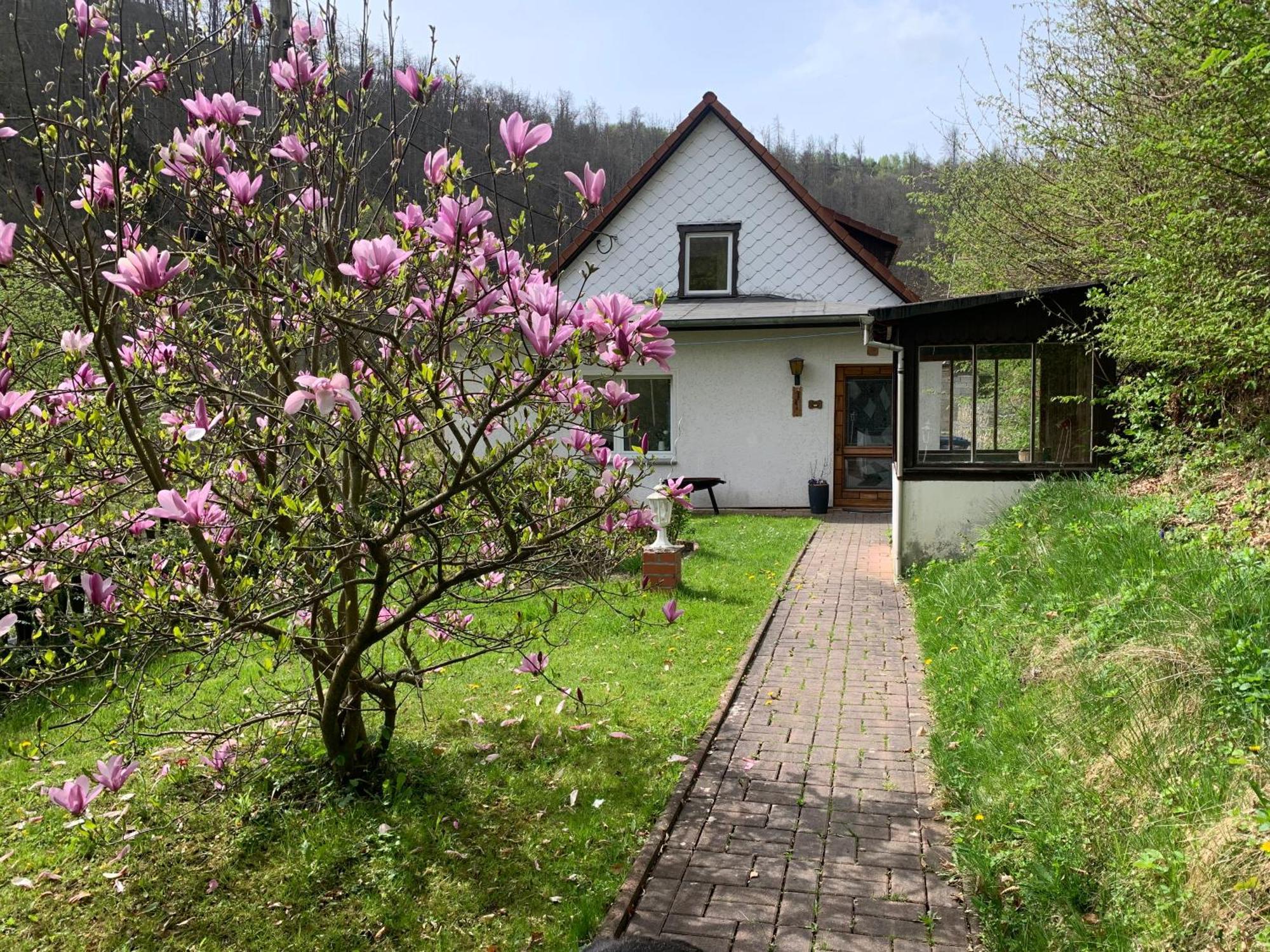 Ferienhaus Andrea Am Bodetal Treseburg Exterior foto